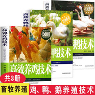 高效雞鴨鵝養(yǎng)殖技術(shù) 養(yǎng)雞 養(yǎng)鴨 養(yǎng)鵝書籍 新農(nóng)村家畜家禽飼養(yǎng)管理與疾病預(yù)防 農(nóng)業(yè)畜牧豬牛羊養(yǎng)殖書籍大全