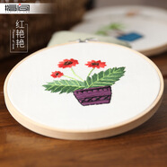 云創(chuàng)典  手工刺繡diy材料包兒童學(xué)生歐式布藝創(chuàng)意十字繡初學(xué)掛畫(huà)含繡框 紅艷艷 約15*15cm