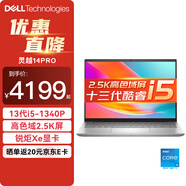 戴爾（DELL）靈越14Pro 5430 14英寸13代酷睿輕薄全面屏辦公商務(wù)學(xué)生網(wǎng)課筆記本電腦 16G 1TB固態(tài) 2.5K超清 定制 13代i5-1340P 銳炬顯卡 銀色
