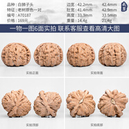 DL 1998胖東來品質(zhì)悶尖獅子頭文玩核桃精品一物一圖三角白獅子手工打底一 A70187 老樹原色白獅子頭42mm