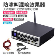 杰奇洛家用卡拉OK混響器帶藍(lán)牙家庭電視唱K歌混音話筒防嘯叫前級效果器 防嘯叫 專業(yè)混響修聲