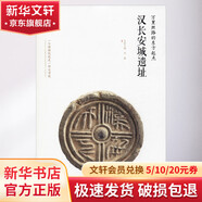 萬(wàn)里絲路的東方起點(diǎn)——漢長(zhǎng)安城遺址 李炳武 編 西安出版社 書籍