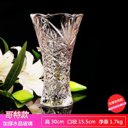 弗萊文茨簡約透明玻璃花瓶水培富貴竹百合水養花器插花瓶家用客廳桌面擺件 哥特花瓶30cm（透明）