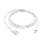 蘋果數(shù)據(jù)線充電線原裝平板手機(jī)iPhone16/iPad Pro閃快充電器/頭二手頭線 99新 蘋果原裝lighting數(shù)據(jù)線1米