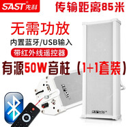先科（SAST） ST-501戶(hù)外藍牙防水音柱室外掛墻壁掛式音響功放喇叭套裝音箱學(xué)校操場(chǎng)廣播店鋪音樂(lè ) 50W有源音柱+50W副箱