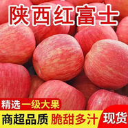 【農(nóng)民自己賣】正宗紅富士蘋果當(dāng)季新鮮冰糖心蘋果水果一整箱批發(fā) 顆顆爆甜-凈重8斤裝中果60-70mm