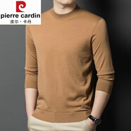 皮爾卡丹（pierre cardin）2024新款100%精紡80支純羊毛衫男士半高領(lǐng)長(zhǎng)袖薄款毛衣絨衫 半高 領(lǐng)卡其（klf23-ZZ2361款）4 M適合90-120斤