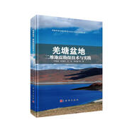 羌塘盆地二維地震勘探技術(shù)與實(shí)踐