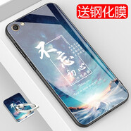 龍清 vivoX7手機(jī)殼X7L網(wǎng)紅創(chuàng)意保護(hù)套男女款個(gè)性超薄玻璃殼全包硅膠硬殼 適用于vivox7 初心
