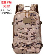 兵克星空戰(zhàn)術(shù)背包迷彩雙肩包19作訓(xùn)包 戶外雙肩包男軍迷背包大容量登山包 冬水墨紋迷彩作訓(xùn)包