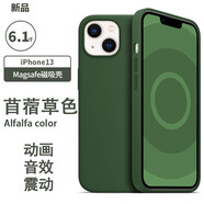 諾邦士 適用蘋果13手機(jī)殼動畫磁吸iphone13液態(tài)硅膠防摔手機(jī)保護(hù)套網(wǎng)紅純色高級品牌13promax手機(jī)殼強(qiáng)力 蘋果13【苜蓿草色】帶標(biāo)磁吸動畫液態(tài)硅膠 iphone 其他型號