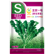 鳳鳴雅世野菜種籽薺菜種子四季大葉薺菜籽野菜籽青菜蔬菜種孑 兒時(shí)的記憶野生薺菜種子250克