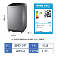 Midea/美的MB65-1000H 6.5公斤KG波輪洗衣機(jī)小型全自動家用帶甩尾貨 美的8公斤全自動MB80V33B