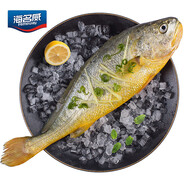 海名威 冷凍寧德黃花魚(yú)600g/條 大黃魚(yú) 深海魚(yú) 生鮮魚(yú)類(lèi) 海鮮水產(chǎn) 