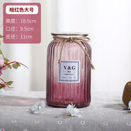 神瓶八玻玻璃花瓶擺件家用玻璃瓶客廳透明創(chuàng)意插花瓶家居歐式小清新水培瓶 18闊口豎條暗紅