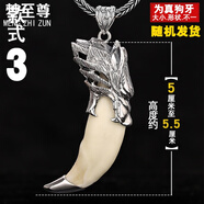 夢(mèng)至尊（MENGZHIZUN） 狼牙吊墜男士925項(xiàng)鏈 真狗牙項(xiàng)墜復(fù)古霸氣牙齒個(gè)性 款式三 配棉繩