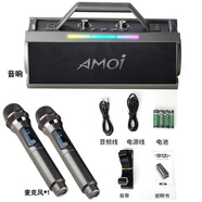 Amoi/夏新.柏林之聲無線K歌音響HIFI高音質(zhì)大功率超重低音長續(xù)航便攜低音炮 L202-雙麥
