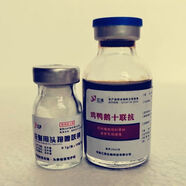 派可為禽病雞鴨鵝十六聯(lián)抗禽流感新城疫雞瘟霍亂流支氣管炎呼吸道病 1瓶十聯(lián)抗+1瓶頭孢
