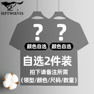 七匹狼 純棉T恤衫男夏季打底衣短t全棉短袖透氣汗衫寬松老頭衫內(nèi)搭小白t 自選2件裝(備注領(lǐng)型/顏色/尺碼) L （身高165-175/110-130斤）