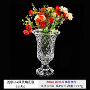 弗萊文茨北歐ins風(fēng)玻璃花瓶精致簡(jiǎn)約綠植鮮花插花擺件家用客廳透明小花瓶 菱形花瓶（小號）