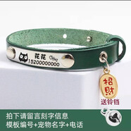 磊嘉【真皮刻字項圈】貓項圈貓咪項圈防丟貓脖圈貓鈴鐺貓牌項圈貓頸圈 綠色M（脖圍20-26cm 4-8斤）