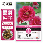 花沃里蜀葵花種子約200粒 花卉種子盆栽陽臺種菜土四季草籽陽臺庭院田間