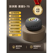 索愛（soaiy）2024新款s75藍牙音箱高音質(zhì)無線音響家用小型便攜迷你戶外超重低 旗艦版+32G內(nèi)存卡澎湃黑高保真