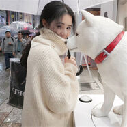 韓版中長款慵懶風(fēng)毛衣女2021秋冬新款寬松加厚高領(lǐng)套頭蝙蝠袖上衣 杏色 高質(zhì)量 S