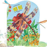 【正版舊書】3D全景立體書：蜻蜓[英]艾蕾娜*格拉袏諾娃長江少年兒童出版社9787556088782