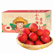 看得健【小喬農(nóng)場(chǎng)】山楂果新鮮山楂鮮果冰糖葫蘆紅果孕婦水果酸甜 山楂大果5斤禮盒裝+去核器