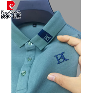 皮爾卡丹（pierre cardin）純棉長袖t恤男秋季翻領(lǐng)商務(wù)休閑POLO.衫寬松純色百搭體恤 淺綠 M
