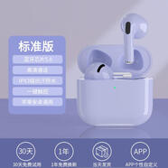 電音日本進(jìn)口真無(wú)線(xiàn)藍牙耳機降噪華為蘋(píng)果安卓入耳式續航充電不痛游戲 流蘇紫 標準版-藍牙5.0高清通話(huà) 官方標配