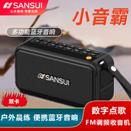 山水（SANSUI） 山水 F30便攜藍牙音箱 便攜式FM調頻音響 晨練音響插卡U盤(pán)老人太極低音炮 酷黑+手提硅膠+充電器