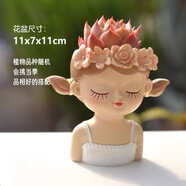 墨一【送貨上門(mén)】多肉植物帶盆組合套裝多肉辦公室綠植花卉三八節禮物 【仙女花盆】悠閑+多肉栽好