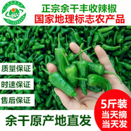 余干辣椒5斤江西特產(chǎn)正宗余干小辣椒新鮮薄皮豐收楓樹土辣椒青椒蔬菜現(xiàn)摘 正宗余干豐收辣椒 5斤 裝保證正宗 產(chǎn)地余干縣發(fā)貨