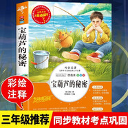 寶葫蘆的秘密 張?zhí)煲?三四年級小學(xué)生課外閱讀正版經(jīng)典書目 9-12歲青少年版兒童文學(xué)閱讀 經(jīng)典名