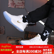 NIKE耐克新款  MAMBA  FOCUS  科比曼巴精神男子實(shí)戰訓練籃球鞋 AO4434-AJ5899-004 白金 41