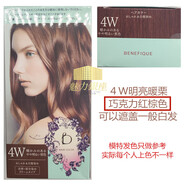 資生堂（Shiseido）日本資生堂BENEFIQUE碧麗妃溫和遮蓋白發(fā)染發(fā)膏黑茶棕 4W