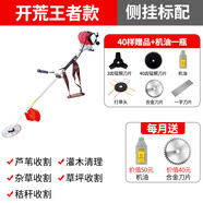 達(dá)瓦（DAWA）德國動(dòng)力技術(shù)割草機(jī)除草機(jī)打草機(jī)四沖程汽油機(jī)水稻收割機(jī)電動(dòng)農(nóng)具 側(cè)掛式主機(jī)+豪華大禮包