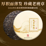 茶者（chazhe）2022年普洱茶生茶韻藏七子餅茶葉 2022年 班章韻藏 357克 * 1片