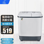 小鴨9公斤大容量半自動(dòng)洗衣機(jī)小型家用 雙桶雙缸波輪洗衣機(jī)雙筒 洗脫兩用帶甩干 9公斤臭氧殺菌款 WPS982SP
