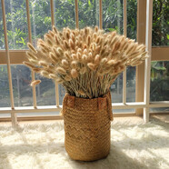 天然麥穗干花套裝草編花籃花器花瓶大麥蘆葦稻谷開(kāi)業(yè)家居裝飾擺件 兔尾草400支+大號花籃套裝