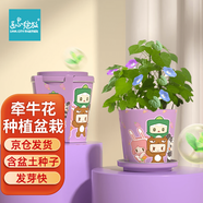 IAM City Farmer牽?；阅闩柙?兒童種植小盆栽diy套裝植物幼兒園觀察玩具10028