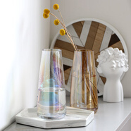 木子西年玻璃花瓶裝飾擺件 北歐式ins風(fēng)小清新透明插花瓶 干花仿真花假花水培花器家居裝飾品 【幻彩色】玻璃花瓶(高約22厘米) 參考詳情