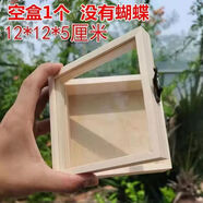 藝馨維尼海洋生物標本擺臺真蝴蝶標本昆蟲標本生日禮物立體框架展示框畫框 【實木盒裝】沒有蝴蝶 相框尺寸：12*5*12cm