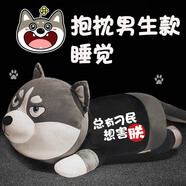優(yōu)美尚 哈士奇公仔毛絨玩具男生睡覺(jué)抱枕布娃娃二哈抱抱熊女孩生日禮物 哈士奇總有刁民想害朕 1.2m+彩袋