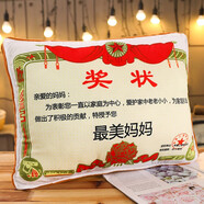 嬰果小島父親節(jié)送爸爸媽媽生日禮物實(shí)用的抱枕被子靠墊給母親老婆老師教師 送媽媽【大號(hào)抱枕】