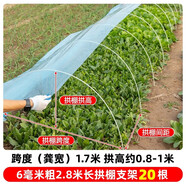 時(shí)光舊巷小拱棚支架桿蔬菜拱棚骨架育苗菜棚花棚玻璃纖維桿彈力棒農(nóng)用大棚 6毫米粗2.8米長(zhǎng)【20根】