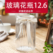 宏达彩色玻璃花瓶欧式台面透明干花饰品客厅花瓶百合富贵竹花艺水培 透明大号