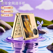 譽(yù)國威P50pro翻蓋老人機全網(wǎng)通4g 電信男女學(xué)生手機老年大字體大聲 手電筒按鍵語(yǔ)音王定位微聊超長(cháng)待機 金色全網(wǎng)通定位微聊 標配